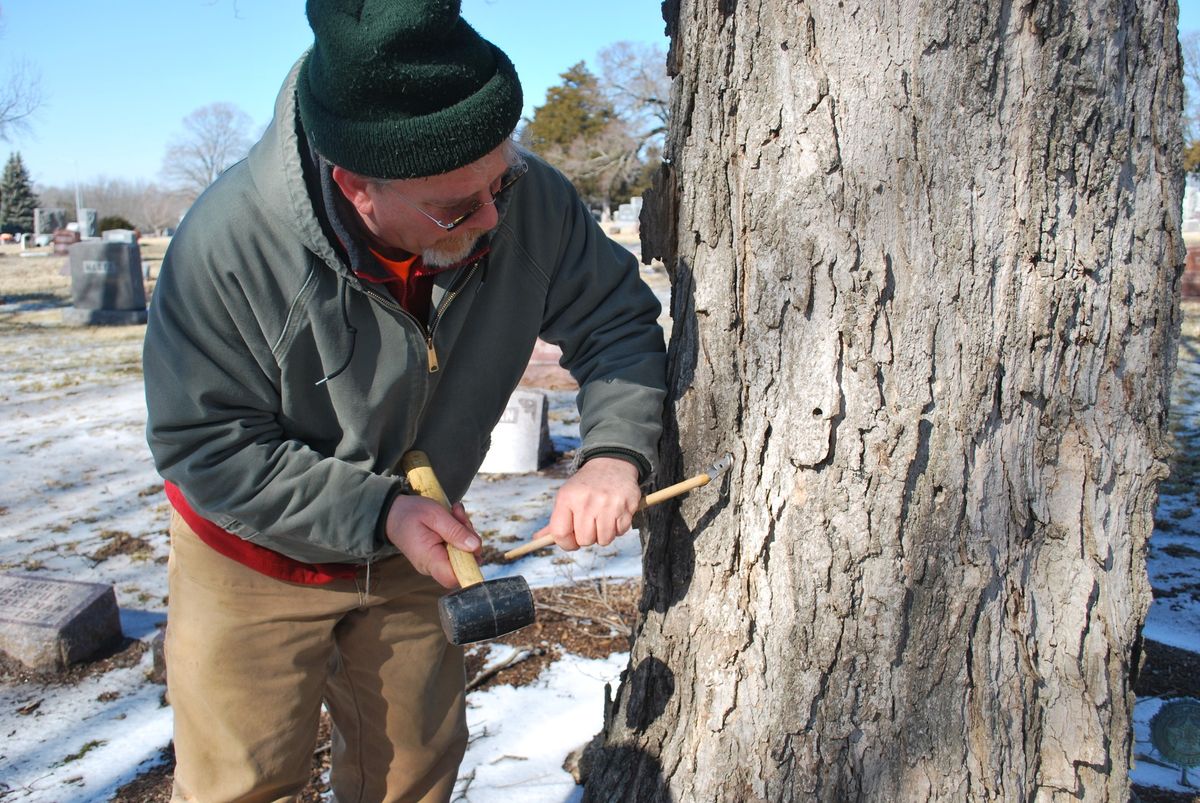 Maple Sugaring Workshop