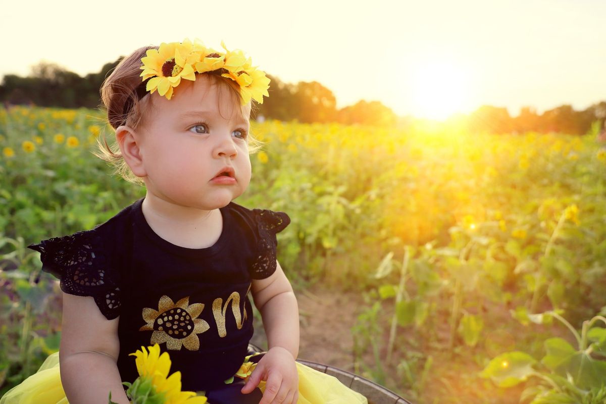 Sunflower Mini Sessions