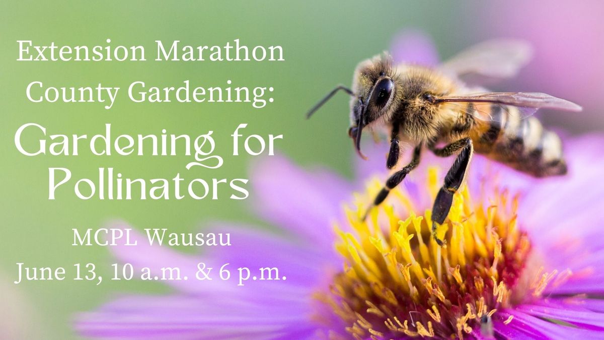 Extension Gardening: Gardening for Pollinators
