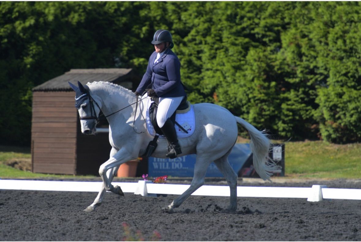 Indoor dressage 