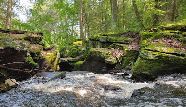 Annual Fall Hike at Indian Ledge Park