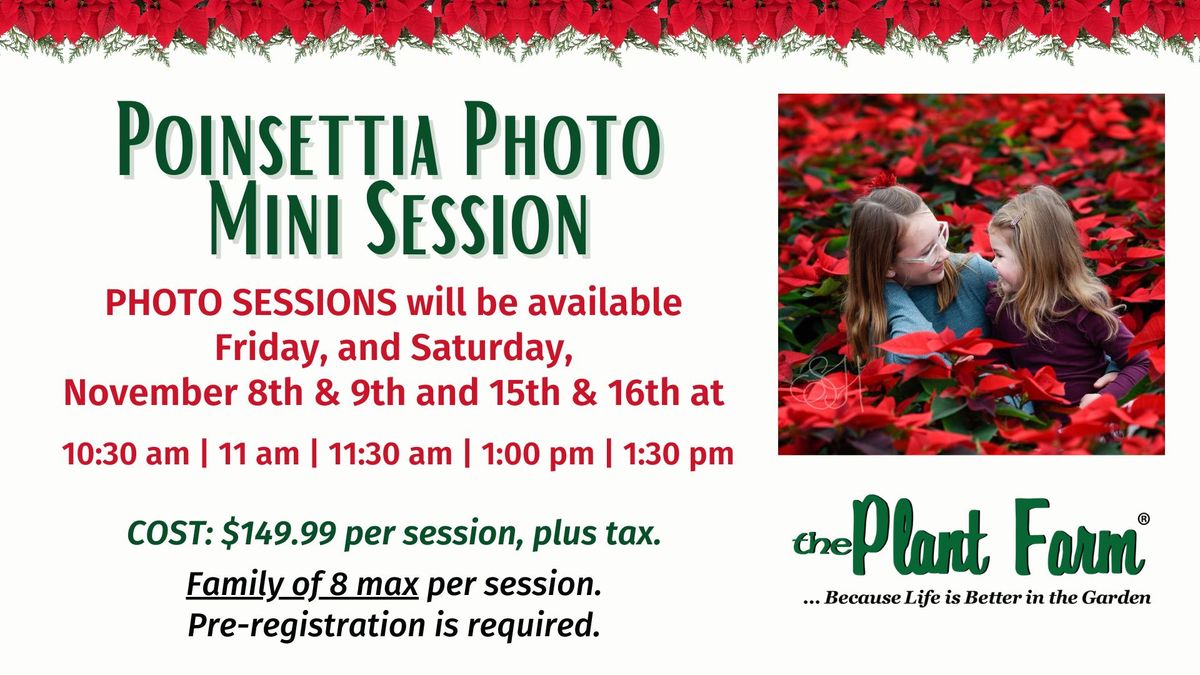 Poinsettia Professional Photo Mini Sessions (Nov 8th, 9th, 15th, & 16th)