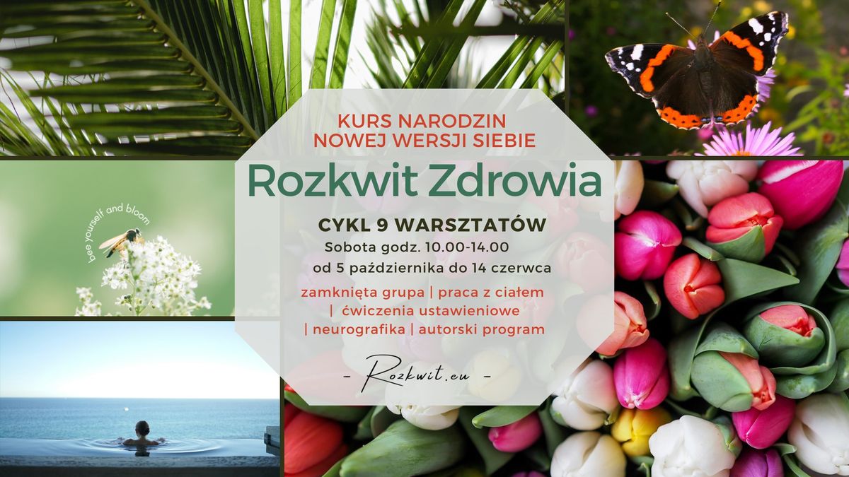 Rozkwit Zdrowia - cykl rozwojowy narodzin zdrowej wersji siebie - 9 modu\u0142\u00f3w w 9 miesi\u0119cy