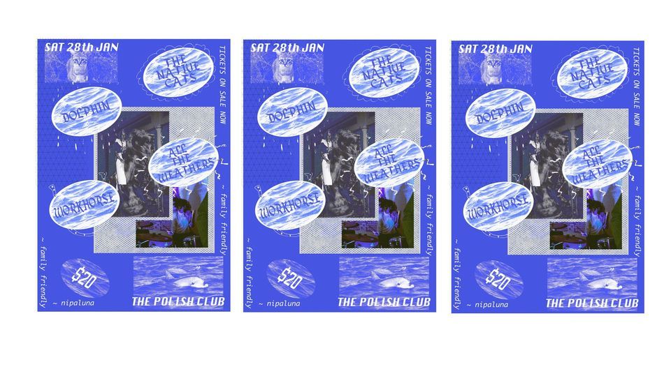 Workhorse, All The Weathers, The Native Cats & Dolphin The Polish