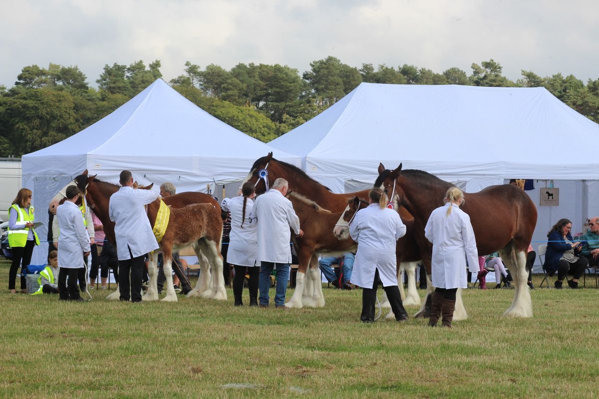 40th Anniversary Aberdeen Clydesdale Show