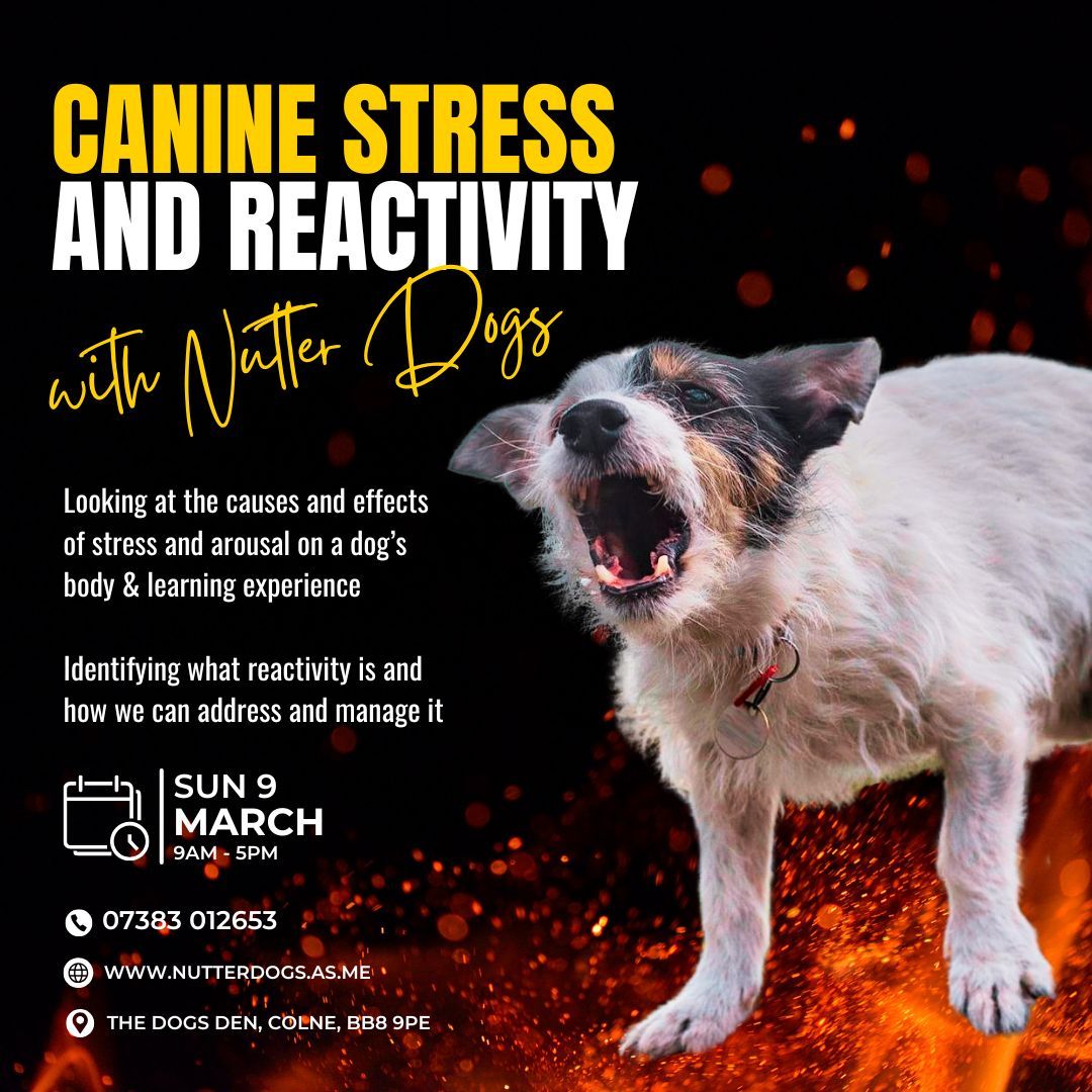 Canine Stress and Reactivity seminar