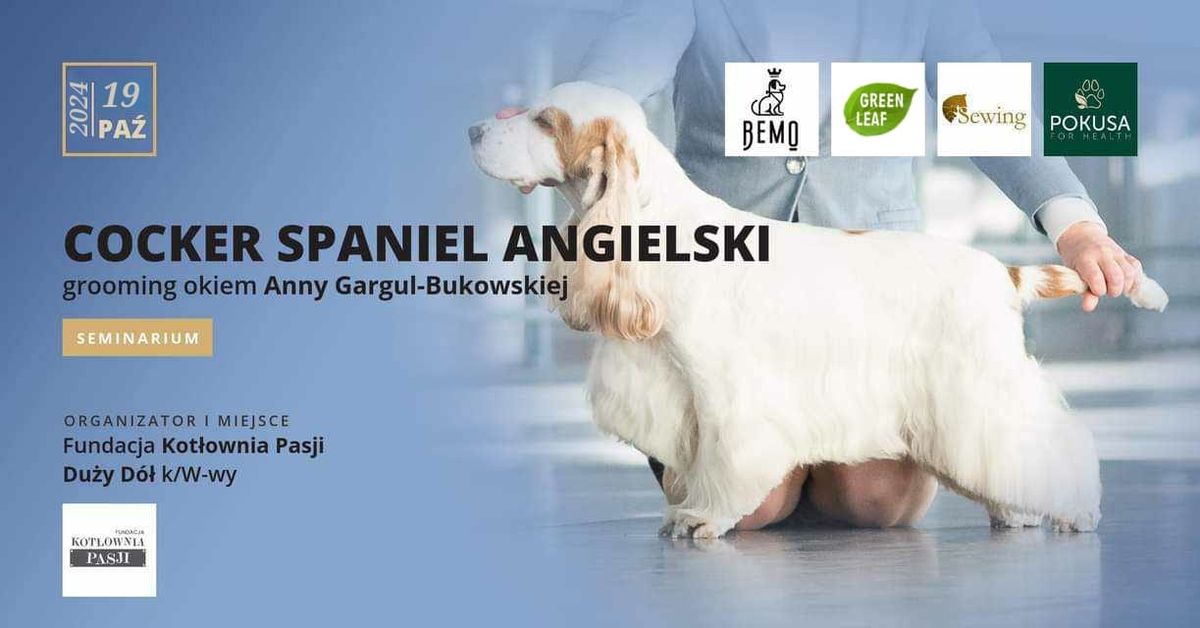 COCKER SPANIEL ANGIELSKI - GROOMING OKIEM ANNY GARGUL-BUKOWSKIEJ 