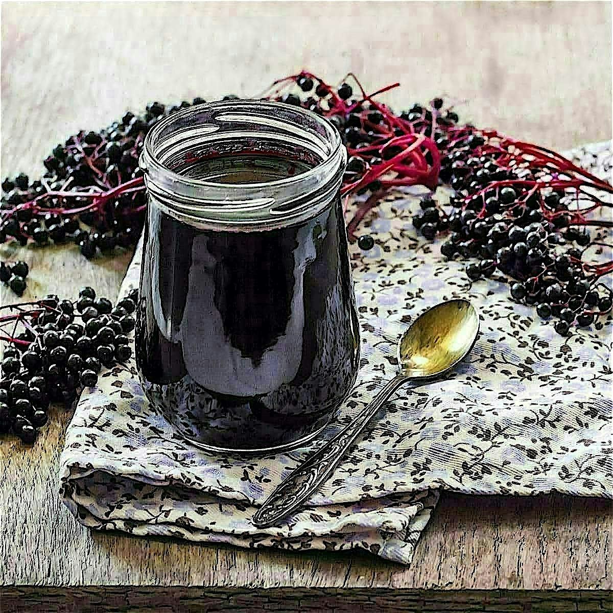 Elderberry Immune Health Event Nov 22nd