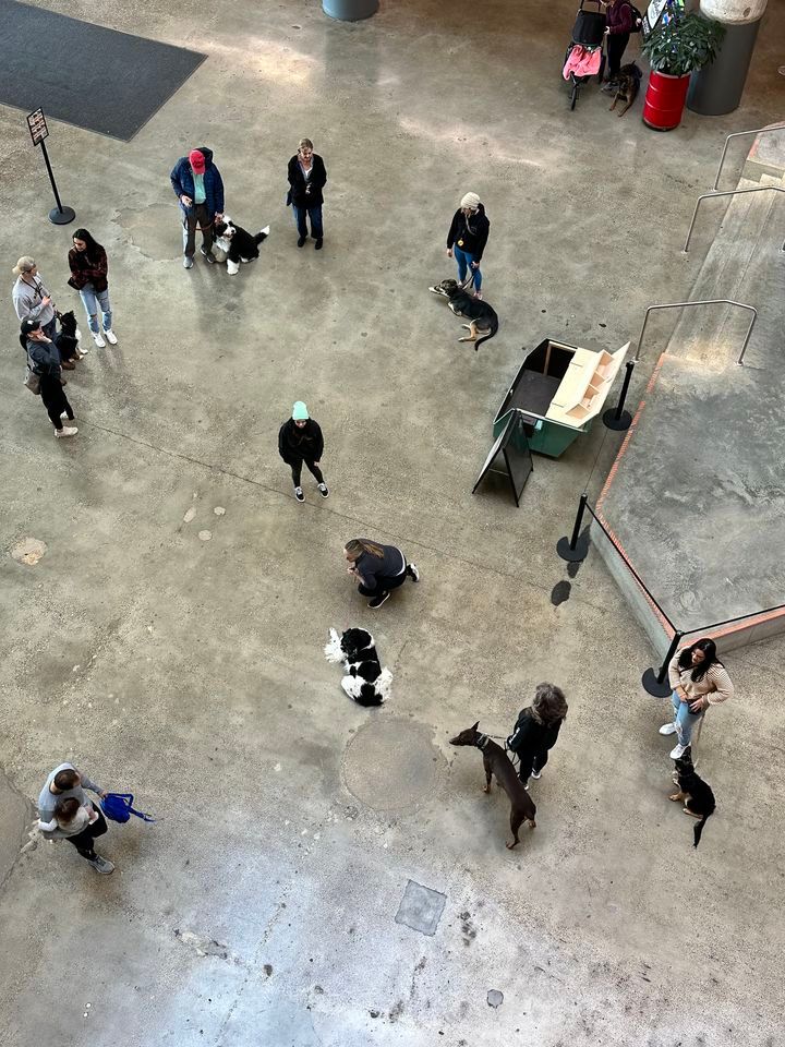 February K9 Katch Up at Crosstown Concourse