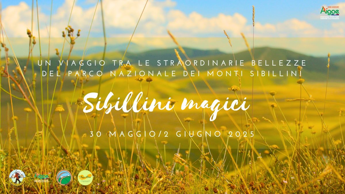 Sibillini Magici