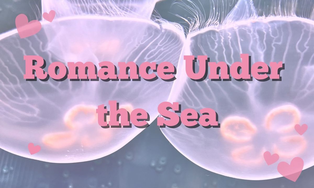 Romance Under the Sea