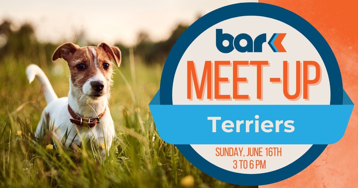 Breed Meet-Up: Terriers