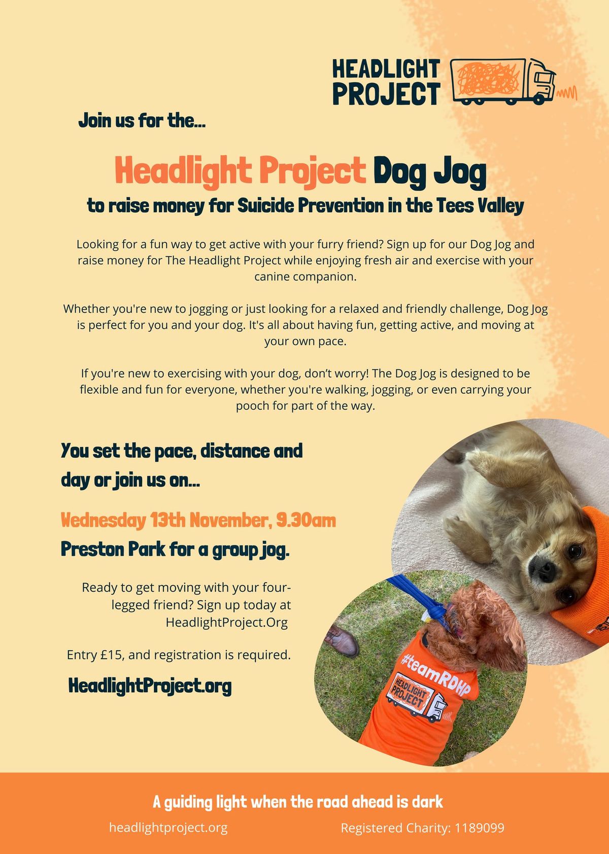 The Headlight Project Dog Jog