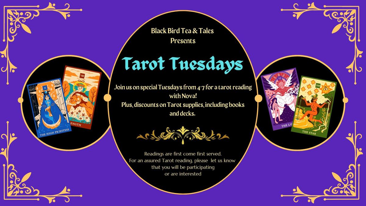 January Tarot Tuesday ~ Readings with Nova