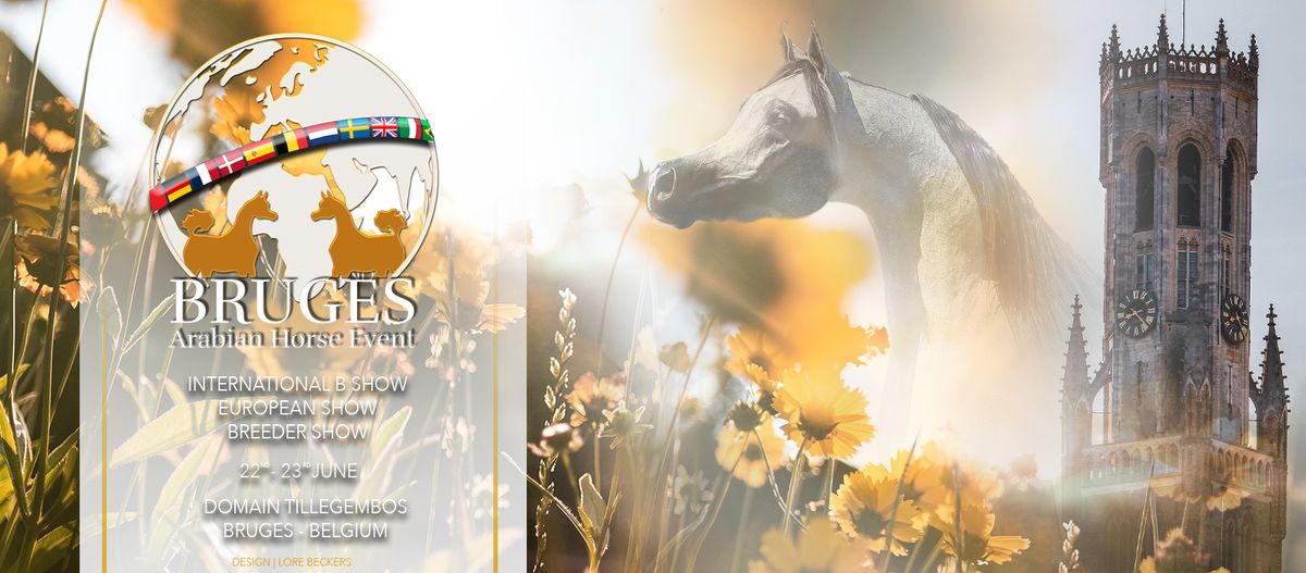 Bruges Arabian Horse Event 2024