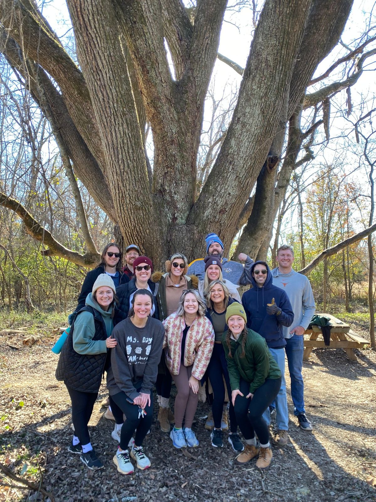 Invasive Removal: Champion Trees & Viewsheds