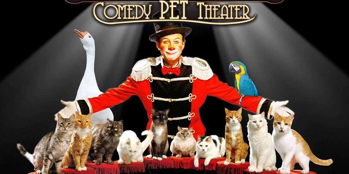 Popovich Comedy Pet Theater - San Antonio