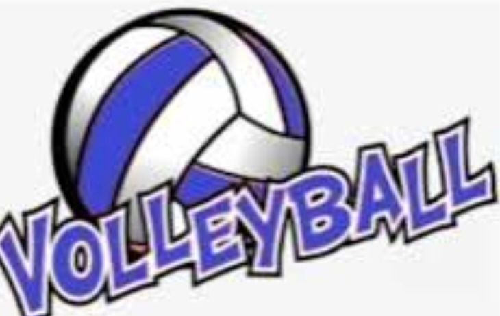 Stake Adult Co-ed Volleyball
