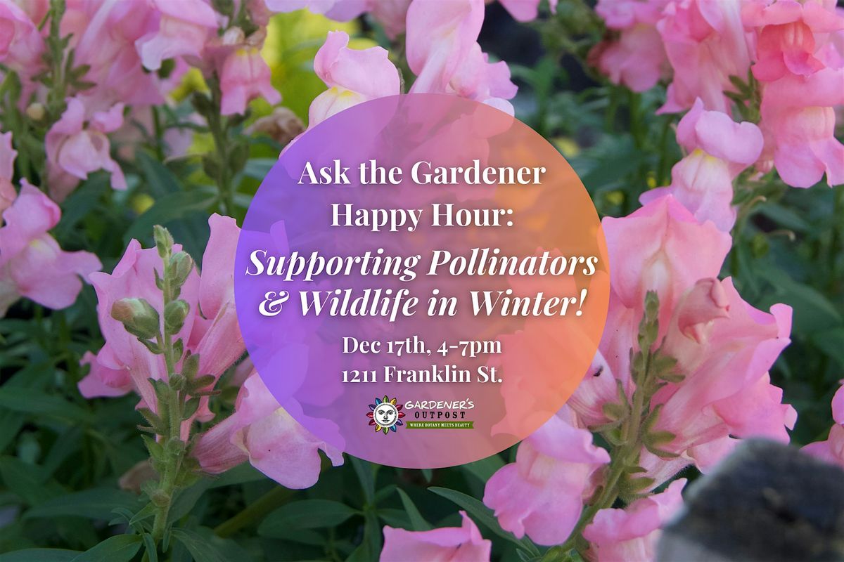 Ask the Gardener Happy Hour: Supporting Pollinators & Wildlife in Winter