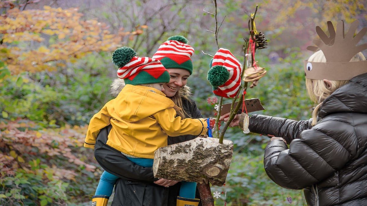 Longshaw Christmas Tree Celebration Weekend