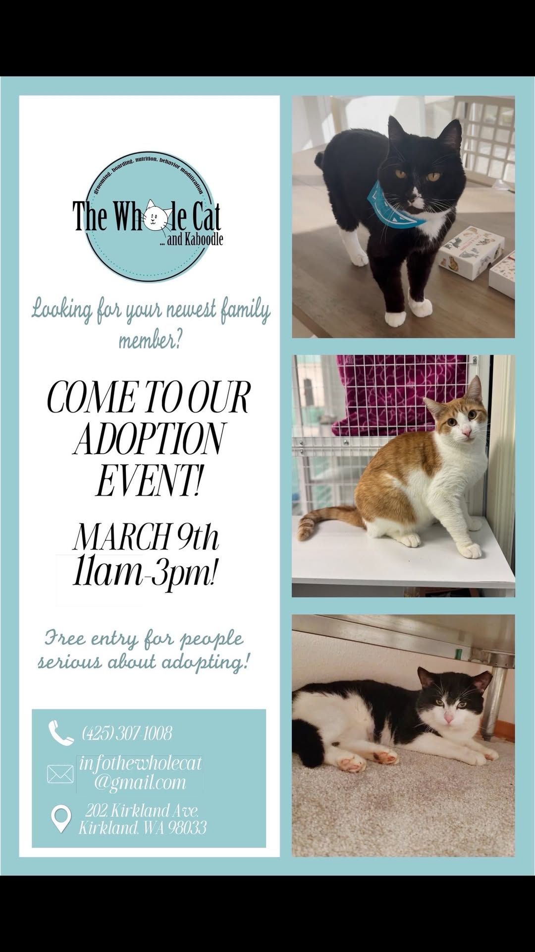 ADOPTION EVENT!