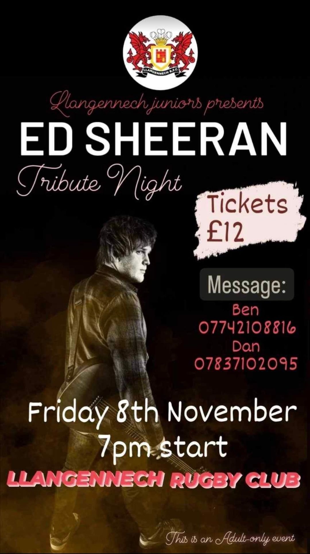 Ed Sheeran Tribute Night