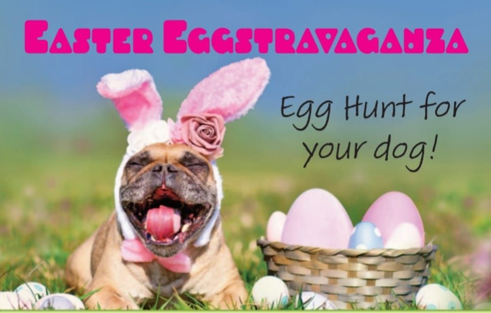 Easter Eggstravaganza