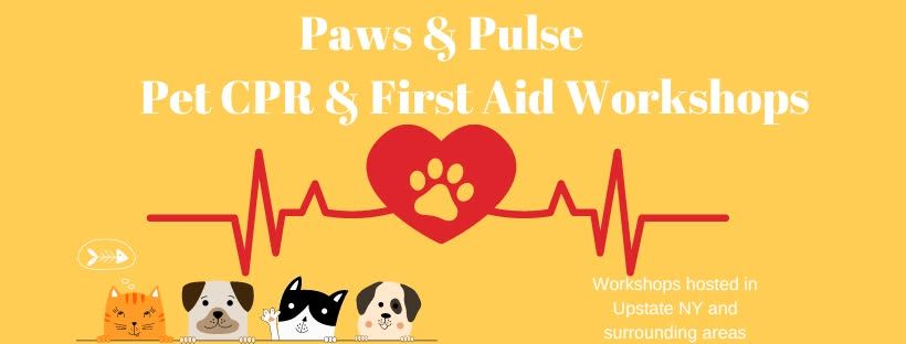 Pet CPR & First Aid Workshop