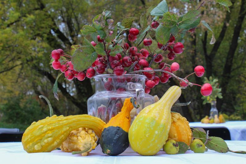 Fall Harvest Party & Fundraiser