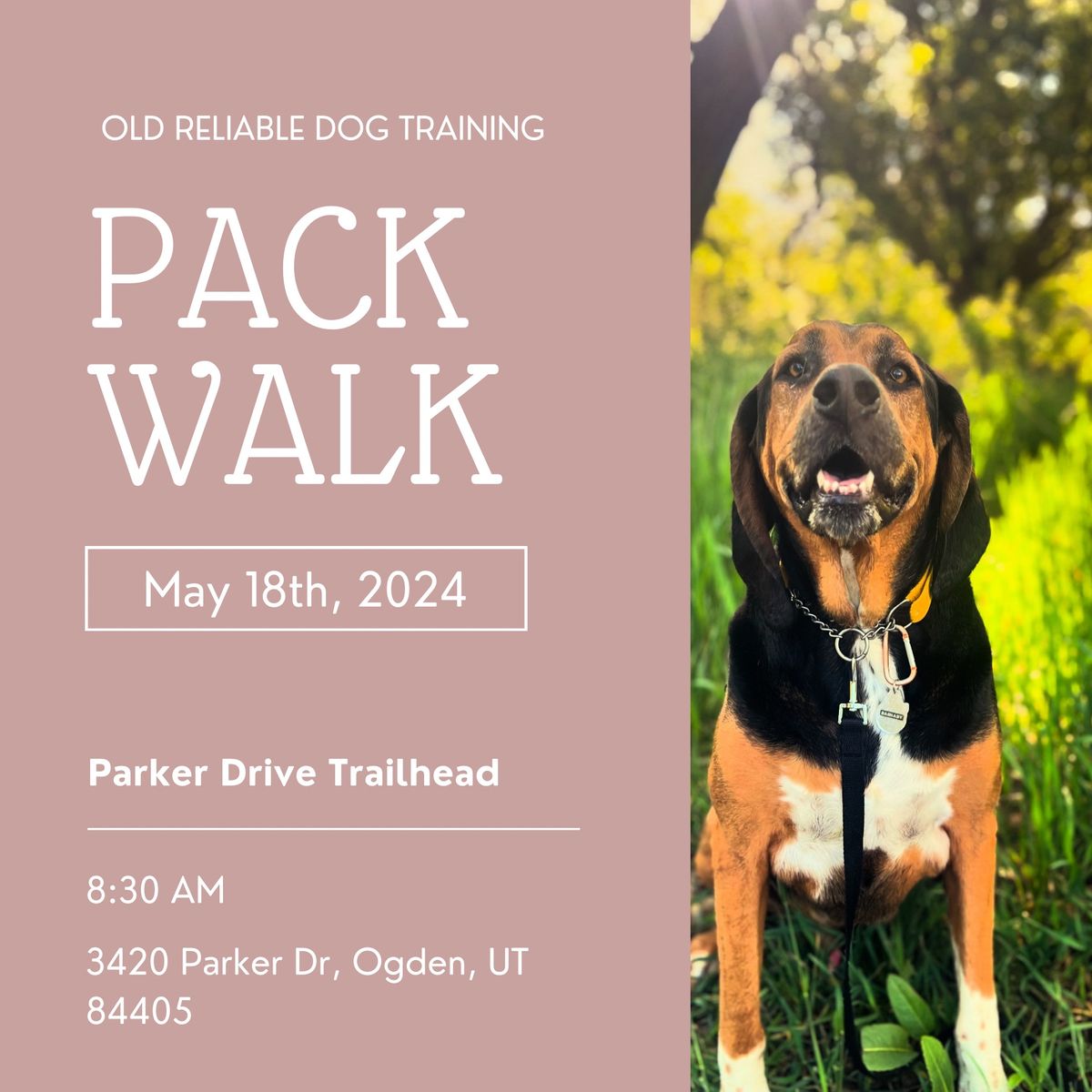 Pack Walk at Parker Drive Trailhead 