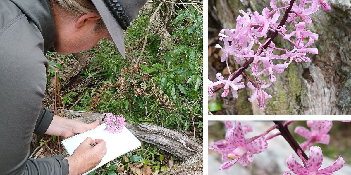 "Create a Nature Journal" with Chris Rockley