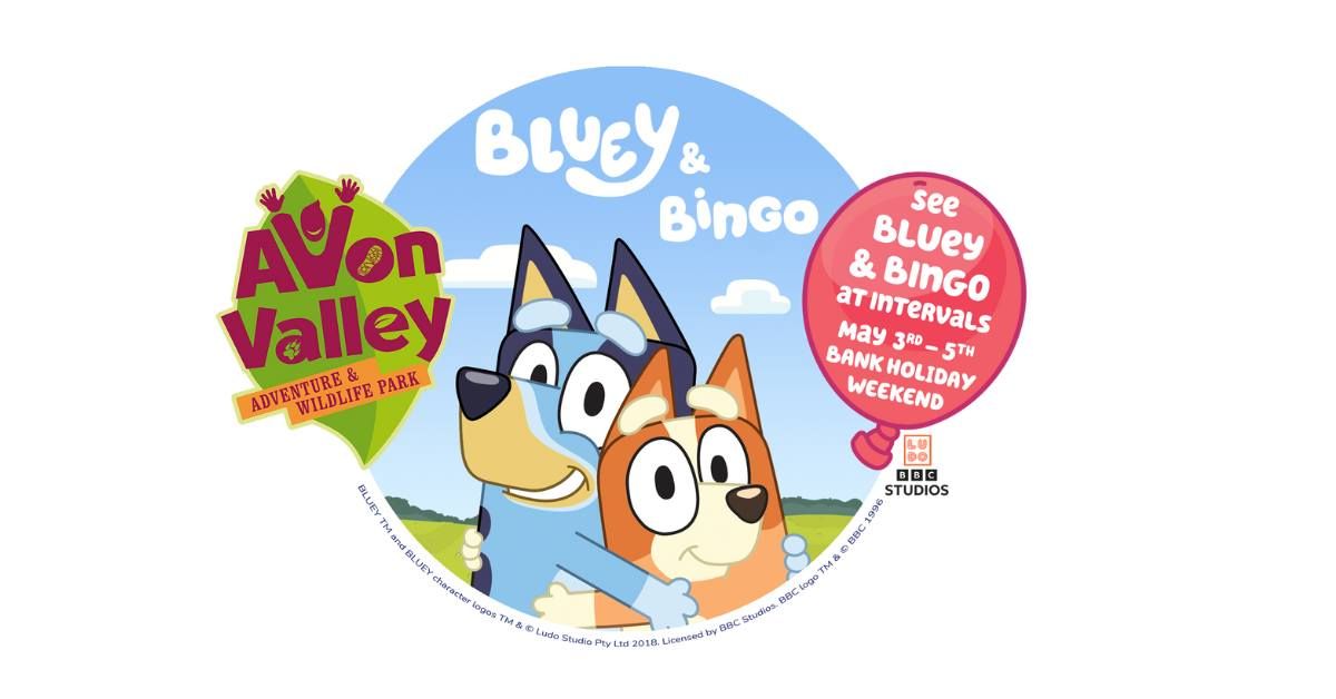 Bluey & Bingo