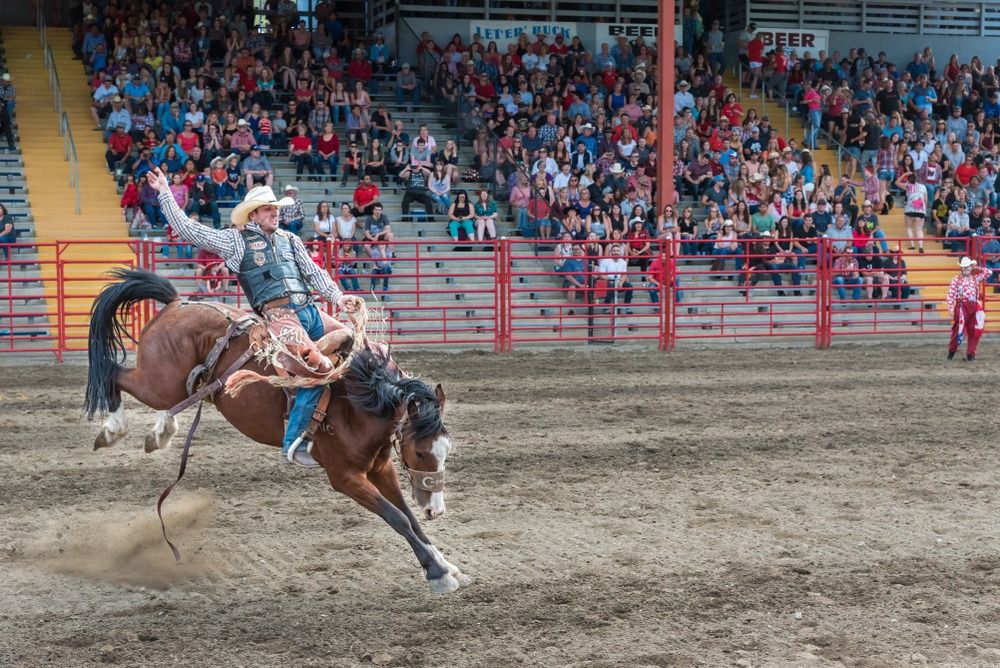 Shepparton Rodeo 