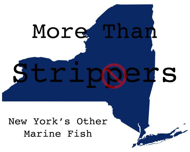 More Than Stripers