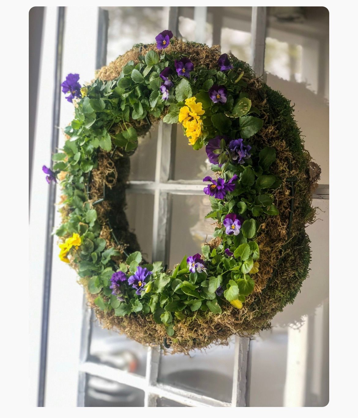 Spring Equinox Workshop - Living Wreath