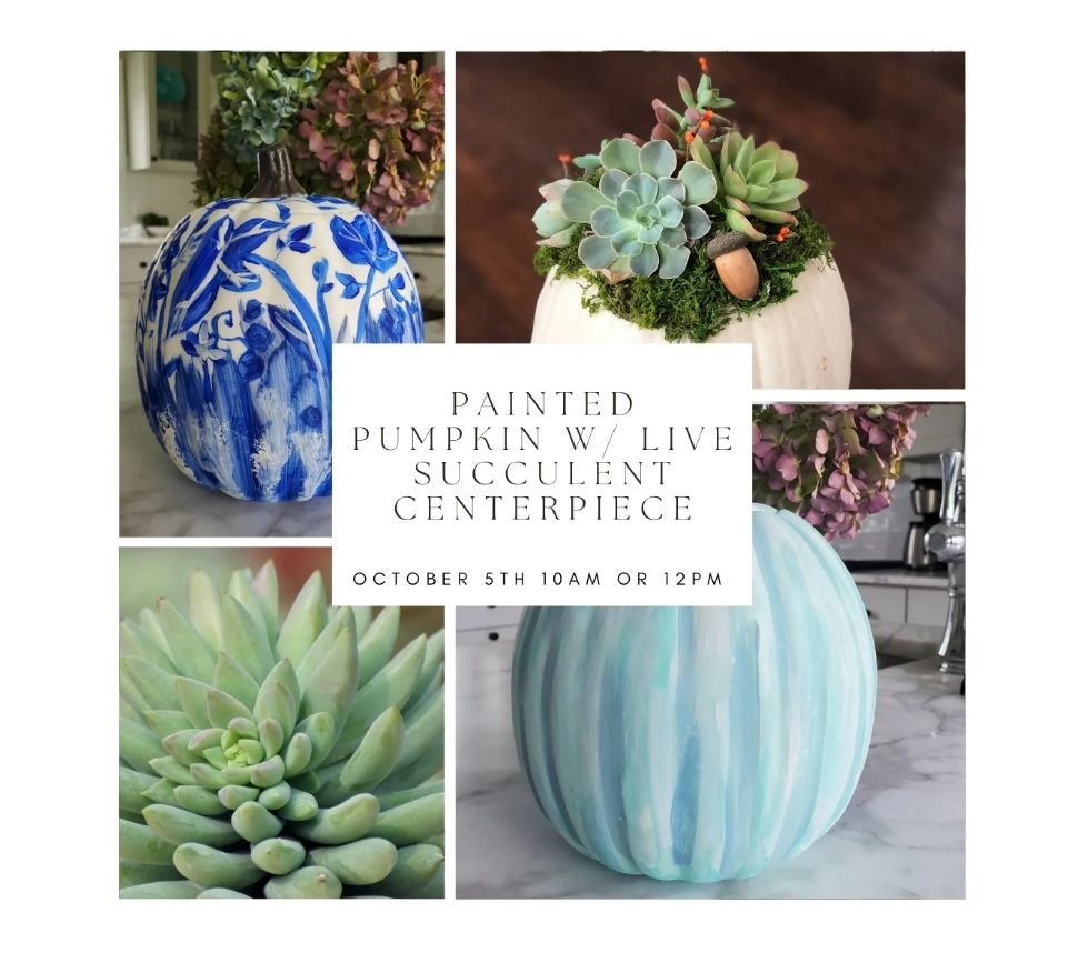 Painting Faux Pumpkin Fall Centerpiece W\/ Live Succulent Class