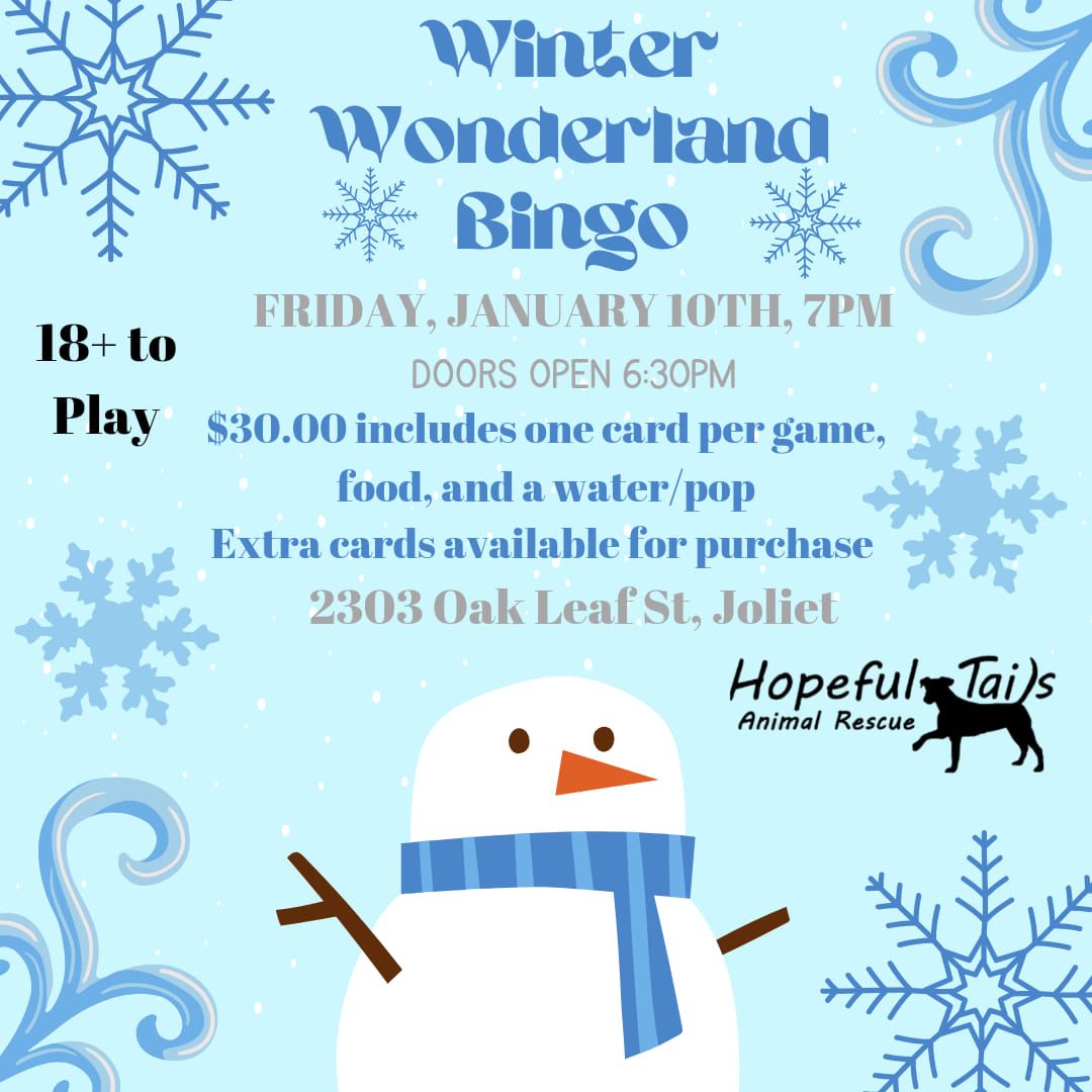 Winter Wonderland Bingo