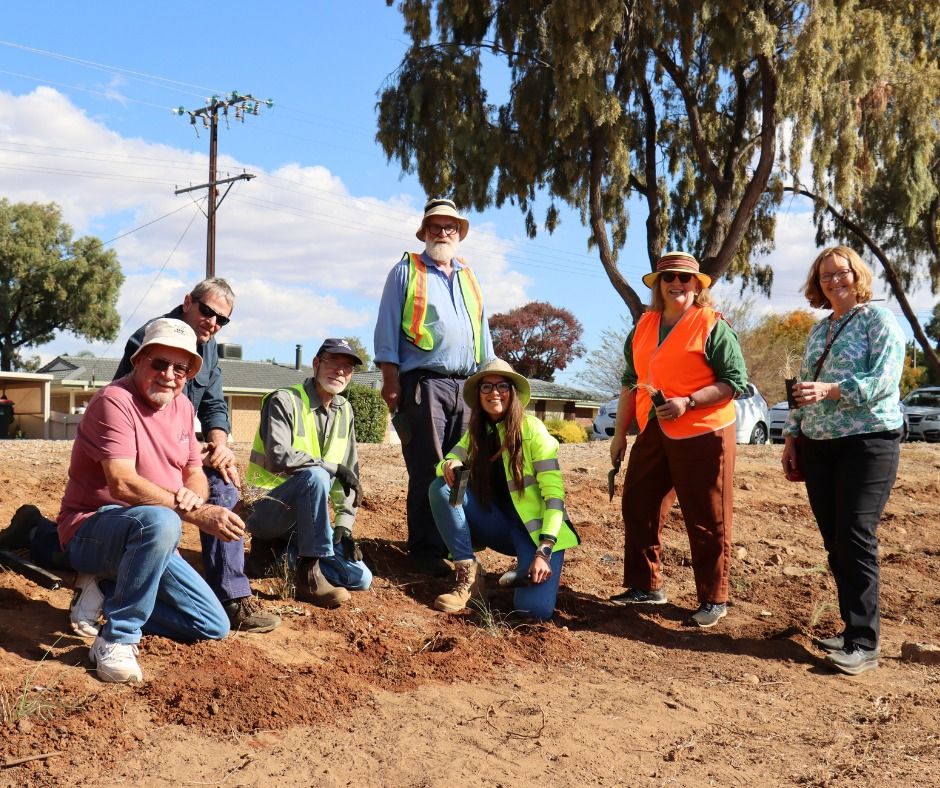 Habitat Planting at Davies Street Stormwater Basin