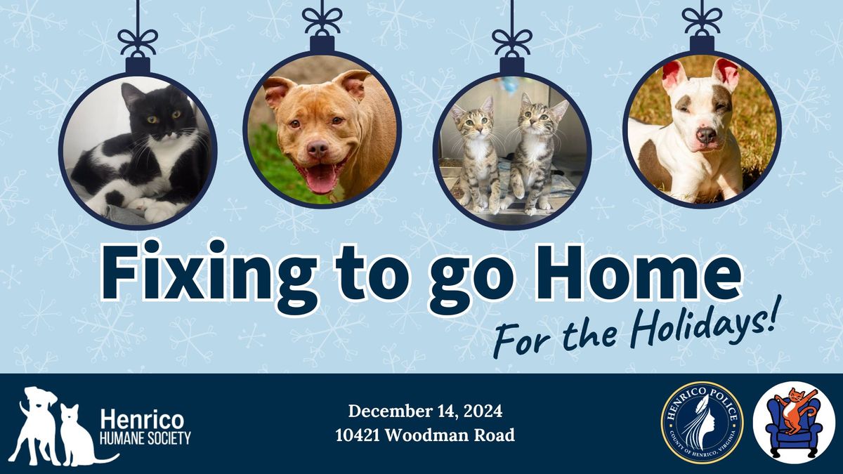 Pet Adoption | Fixing to go Home for the Holidays