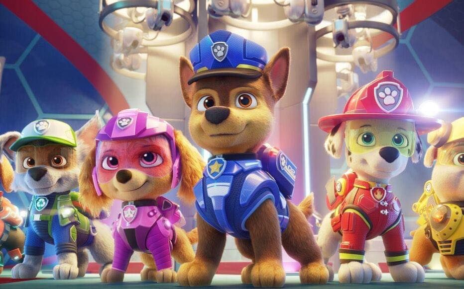 DE HELDEN VAN PAW PATROL LIVE 