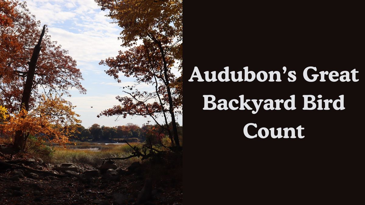 Audubon\u2019s Great Backyard Bird Count