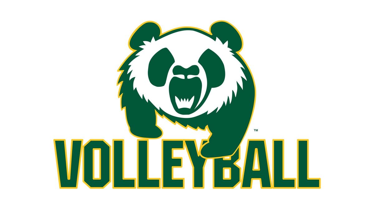 Golden Bears & Pandas Volleyball v Calgary Dinos