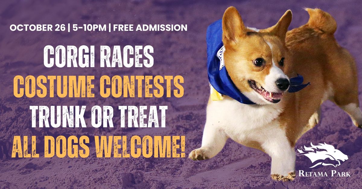 Corgi Races at Retama Park