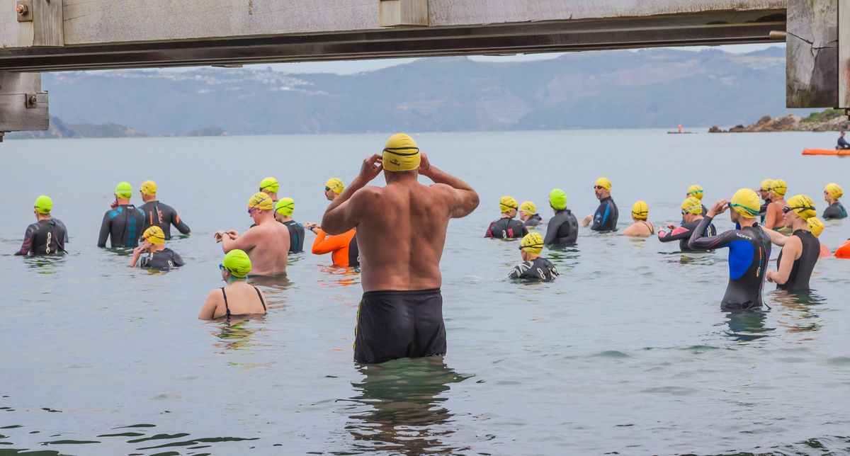 Eastbourne Wharf to Wharf Swim