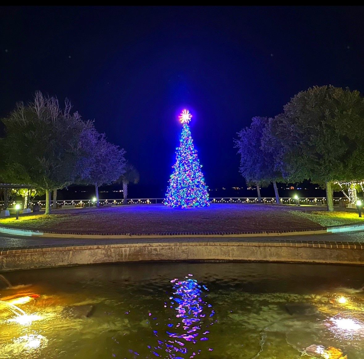 Holiday Lights & Tree at Shelter Cove Towne Centre