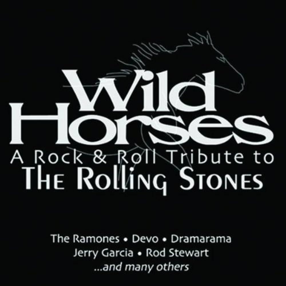 Wilder Horses - Rolling Stones Tribute