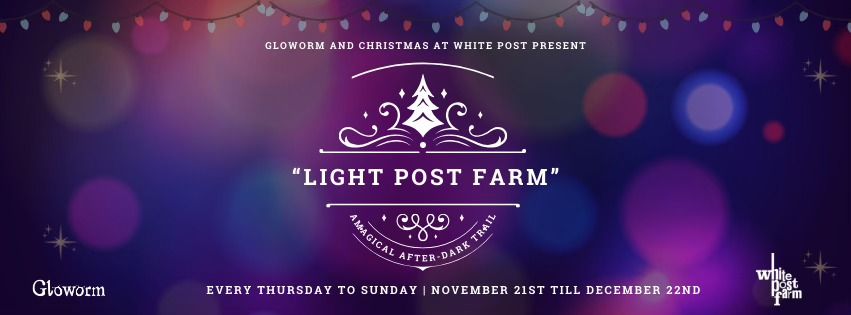 Light Post Farm | A Magical After Dark Trail at White Post Farm