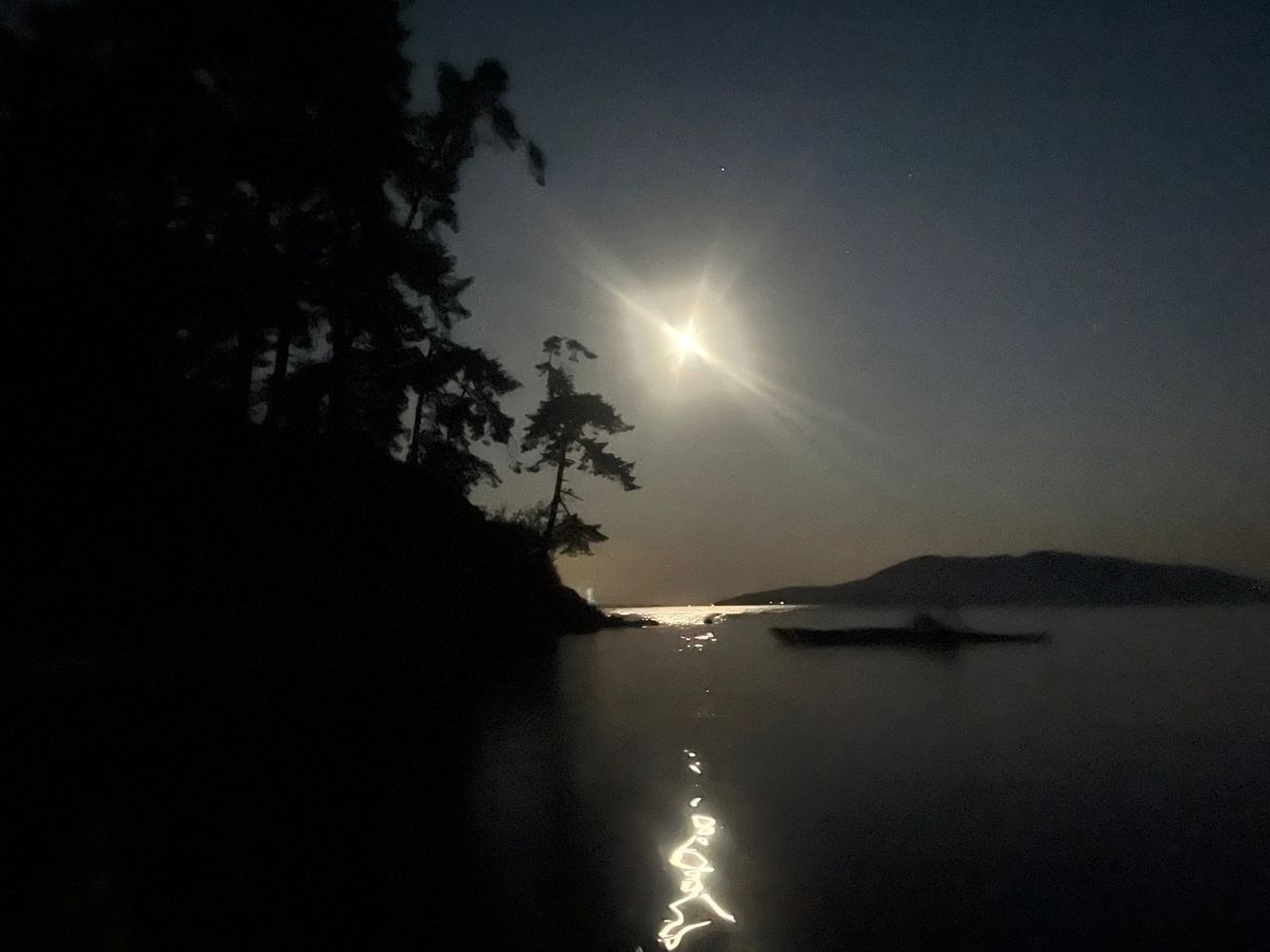 Bioluminescence Kayak Tour