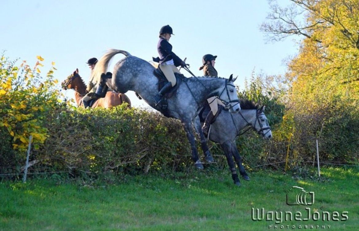 Rockley Manor - Opening Meet (Draghunt)