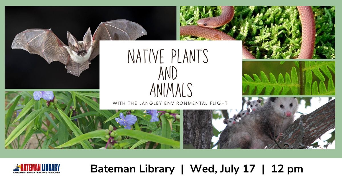 Native Plants & Animals